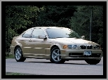 BMW 3, Coupe, Złote, E46